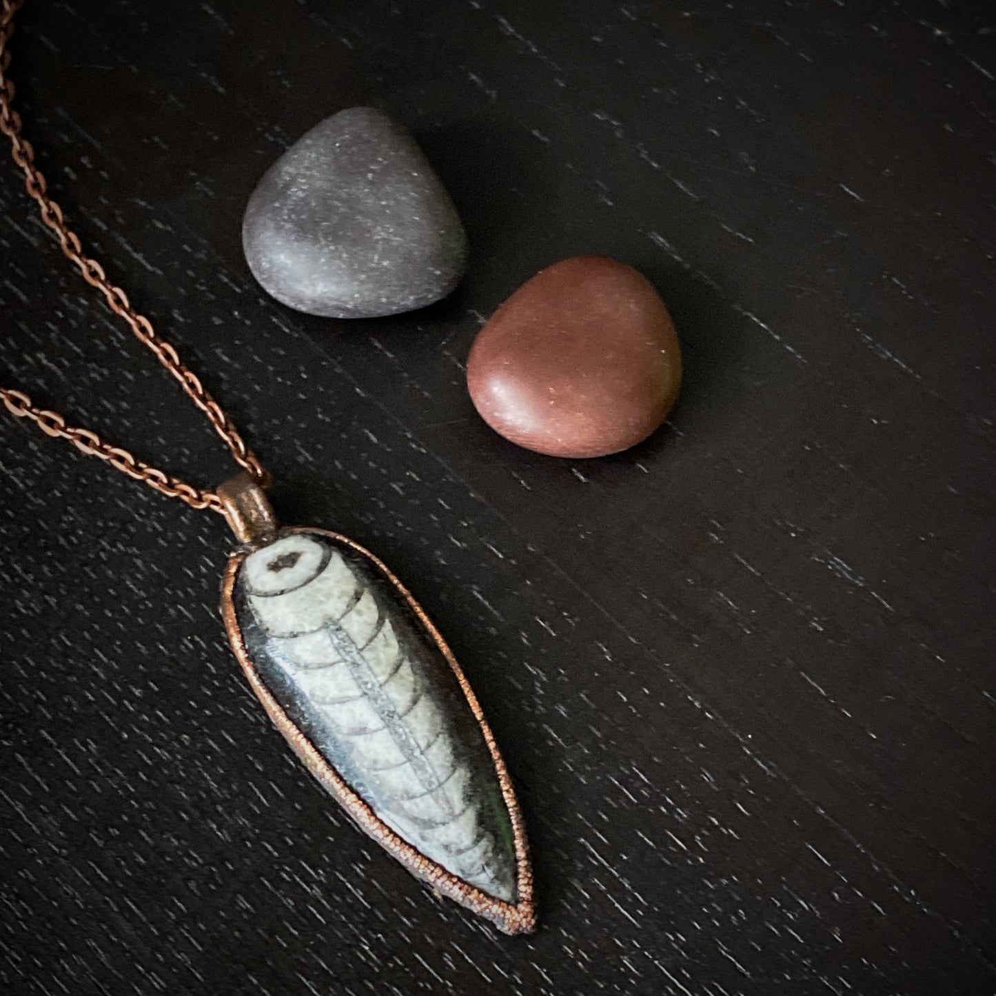 𝑂𝑟𝑡ℎ𝑜𝑐𝑒𝑟𝑎𝑠 𝑁𝑒𝑐𝑘𝑙𝑎𝑐𝑒