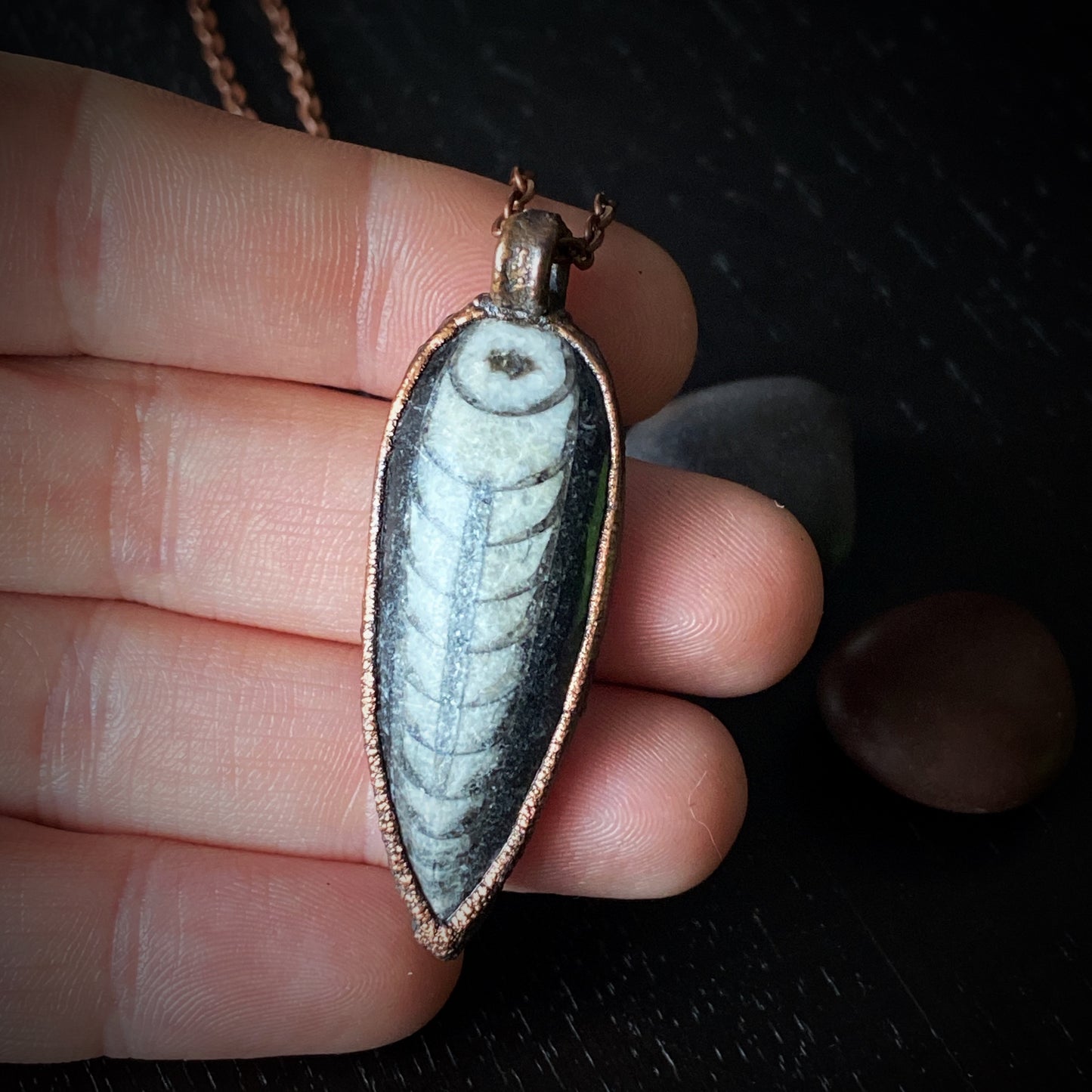 𝑂𝑟𝑡ℎ𝑜𝑐𝑒𝑟𝑎𝑠 𝑁𝑒𝑐𝑘𝑙𝑎𝑐𝑒